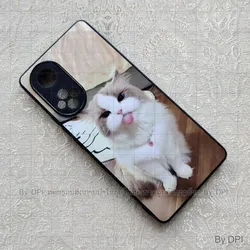 ເຄສທັງໝົດ